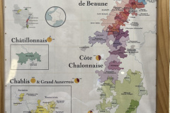 フランスのワインの産地マップ
